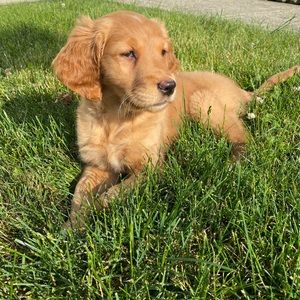 Meet your Posher, Jackie